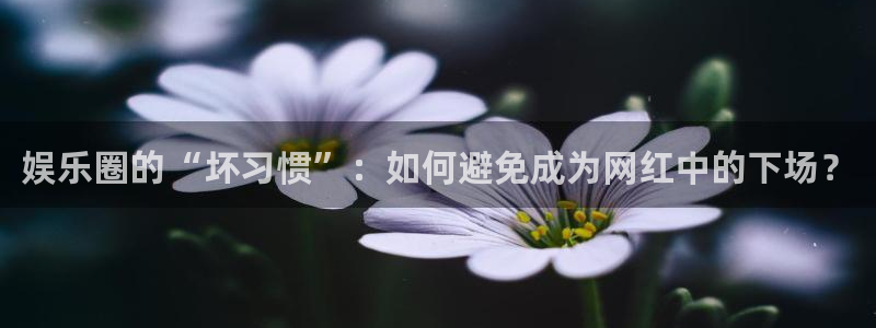 米乐yy易游m6网址