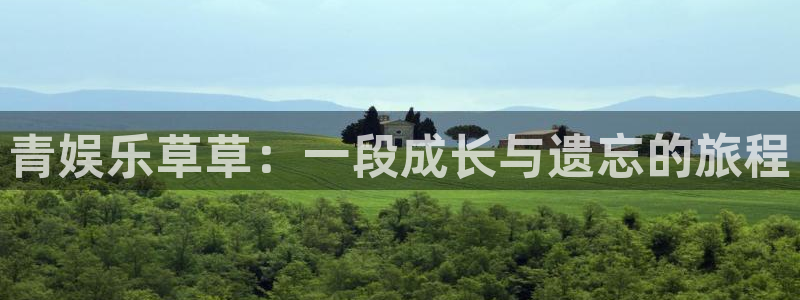 米乐yy易游